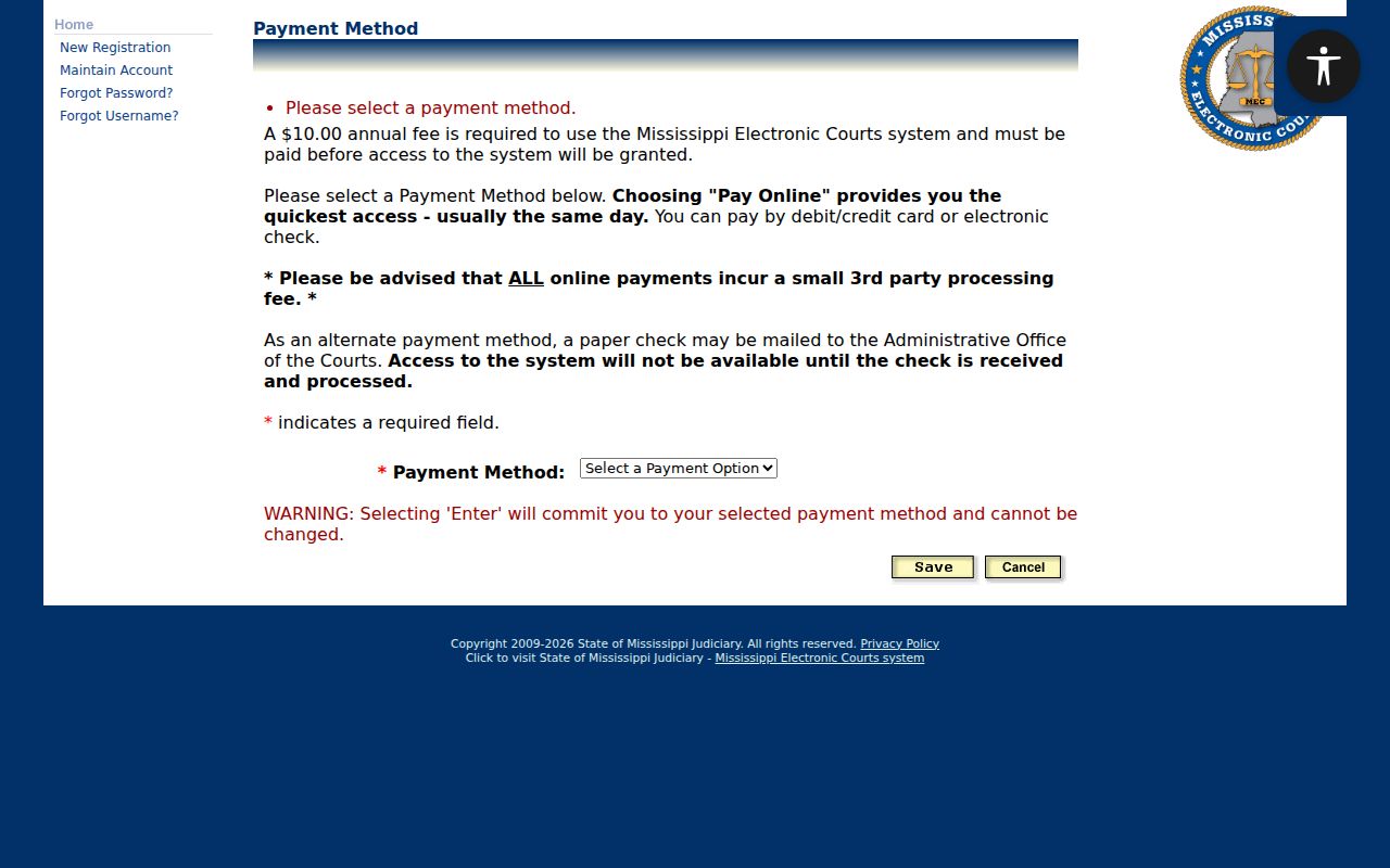 PAMEC electronic record payment field